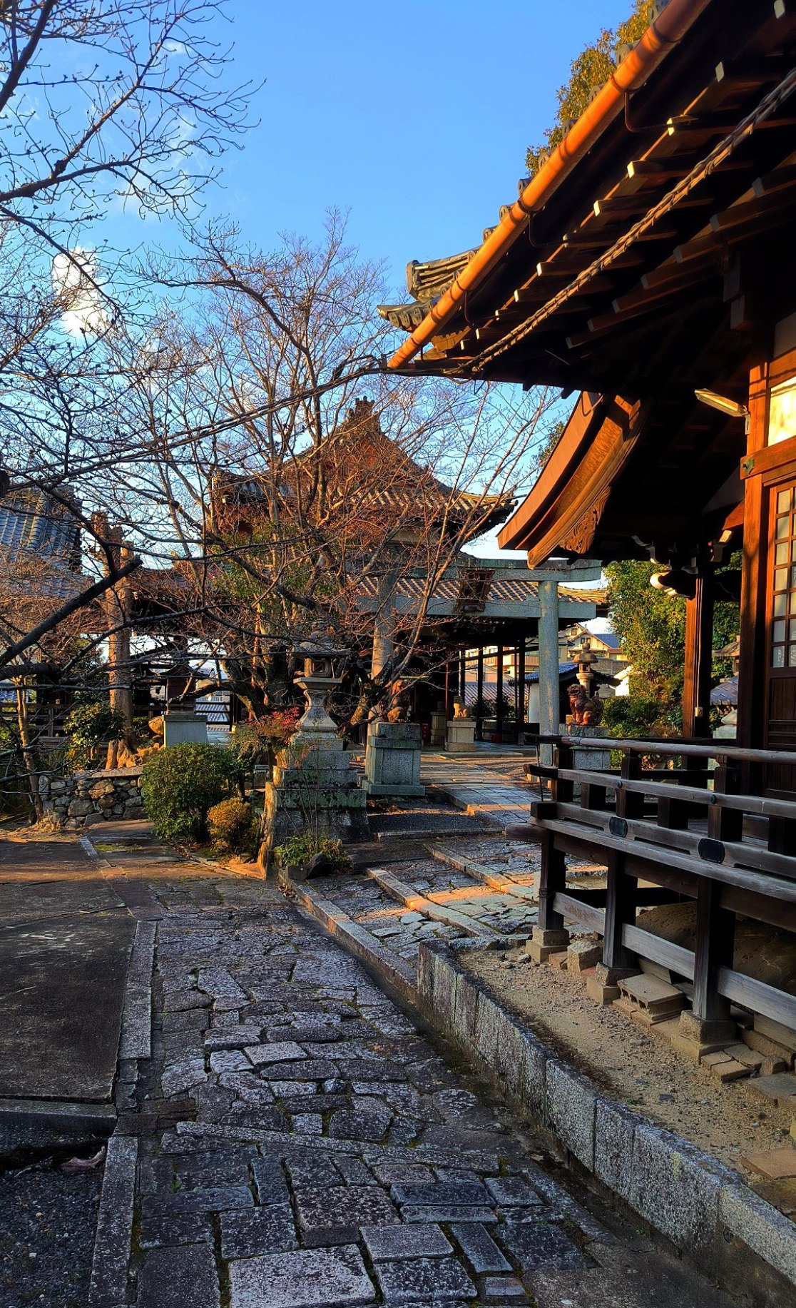 The Kiomidzu-dera Temple on a golden evening in #Kyoto., media 4