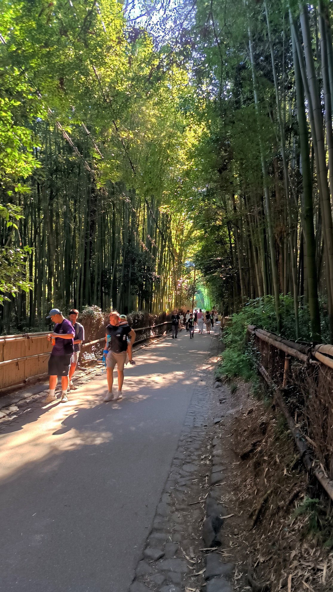 One of the most overhyped places in #Kyoto - the Arashiyama Bamboo Forest., media 1