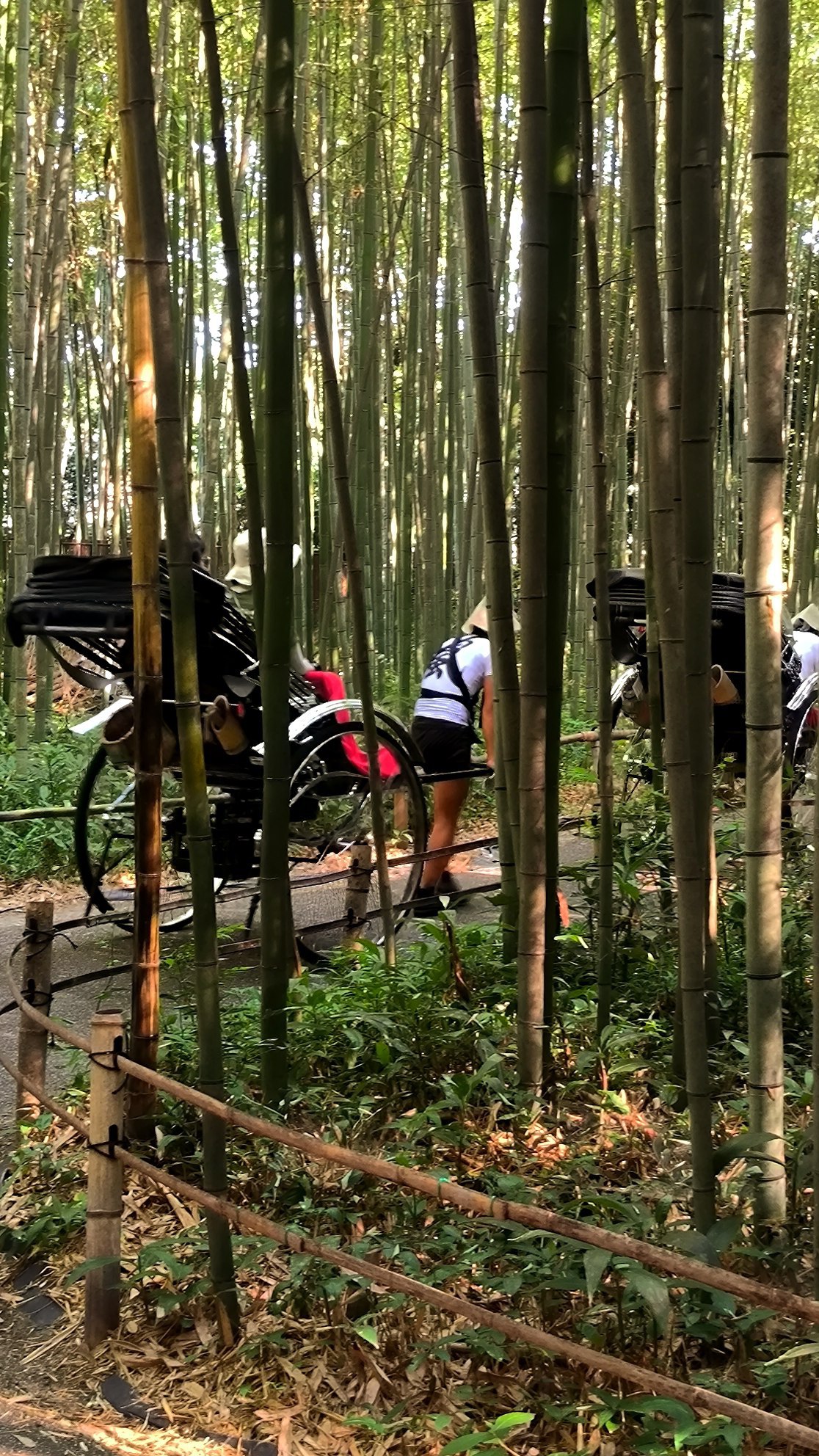 One of the most overhyped places in #Kyoto - the Arashiyama Bamboo Forest., media 4
