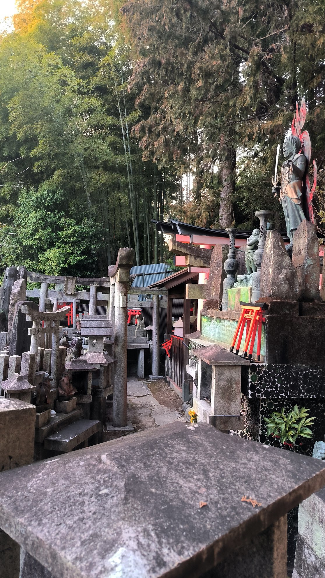 #Kyoto, media 2