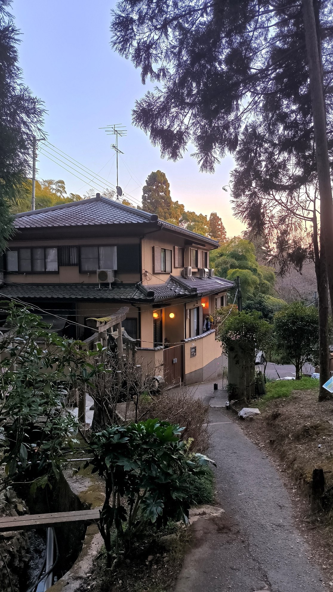 #Kyoto, media 4