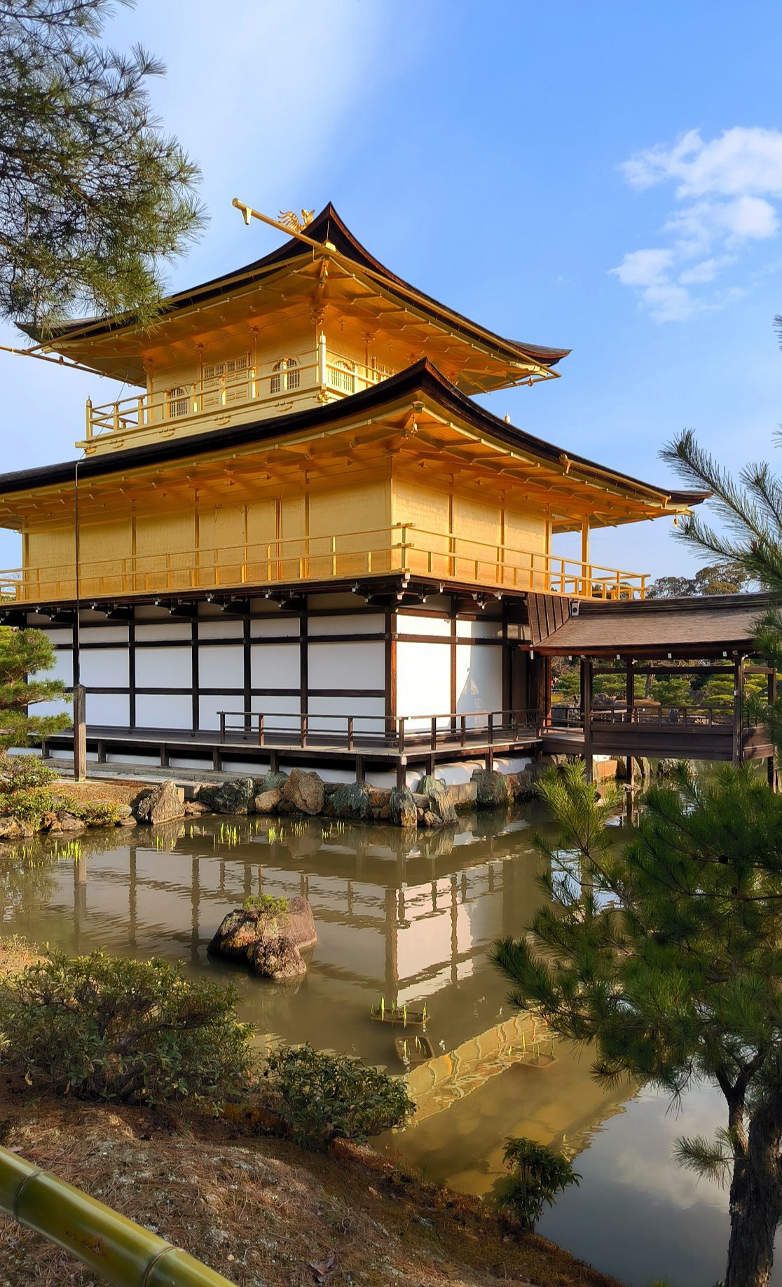 #Kyoto - the capital of temples and palaces of Japan., media 5