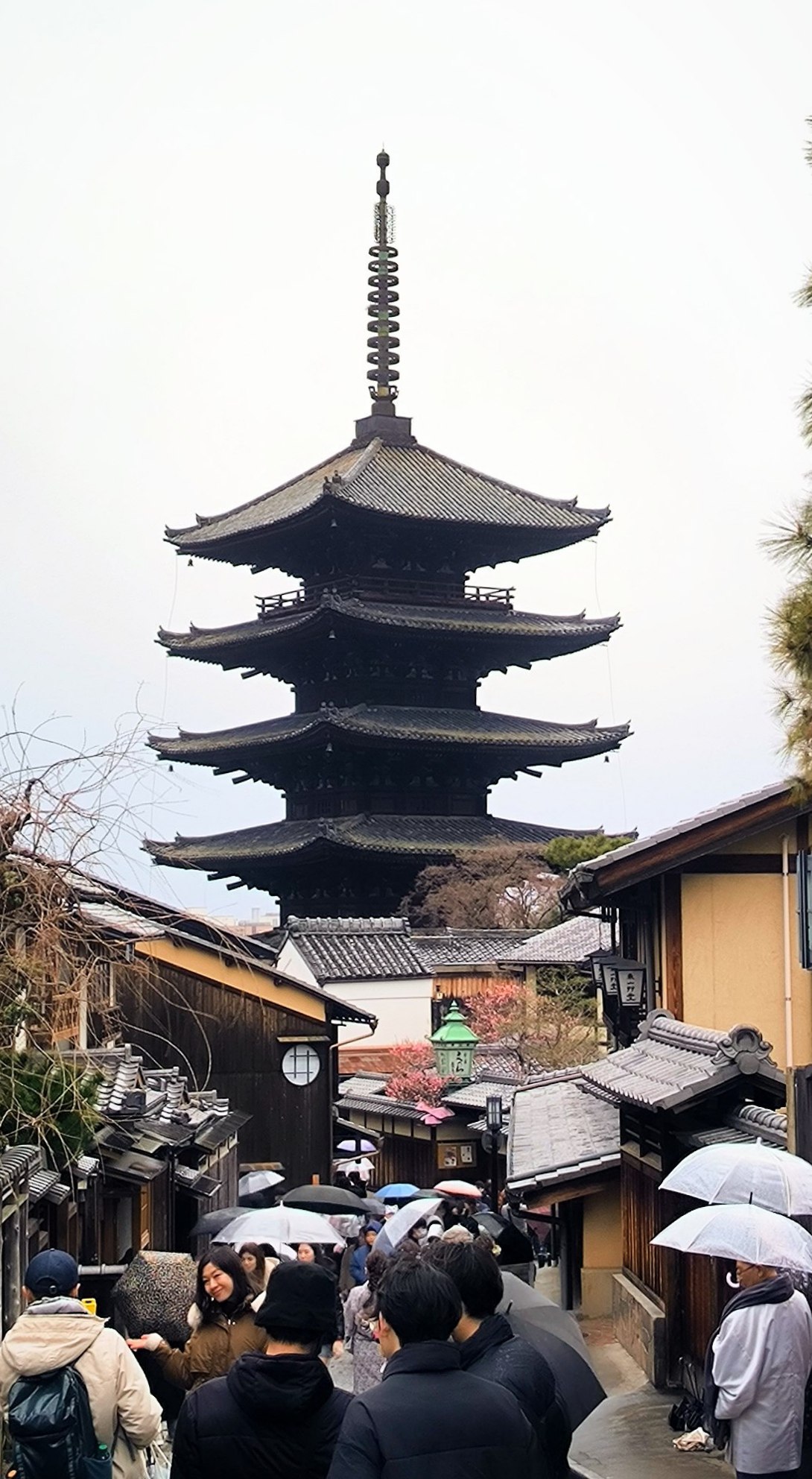 #Kyoto - the capital of temples and palaces of Japan., media 6