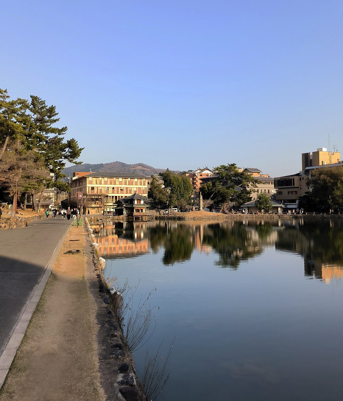 Of course, when in #Kyoto, you simply have to visit Nara (yes, that's where the deer are)., media 4