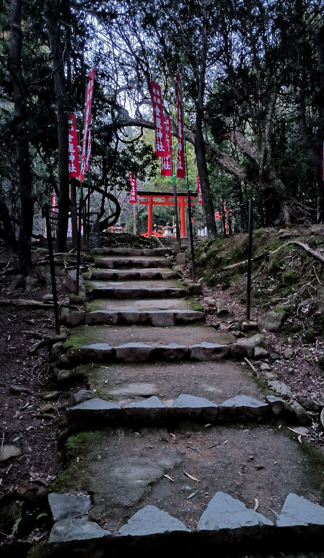 #Kyoto / Nara, media 1