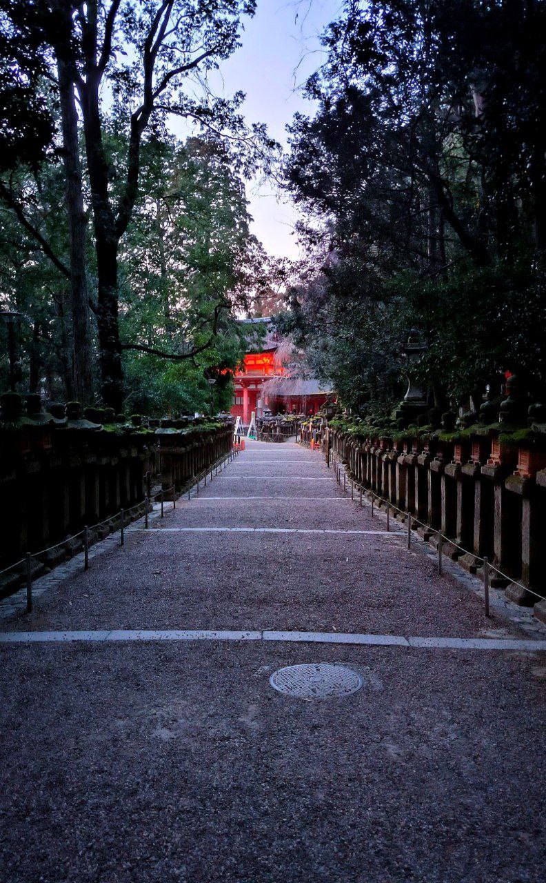 #Kyoto / Nara, media 2