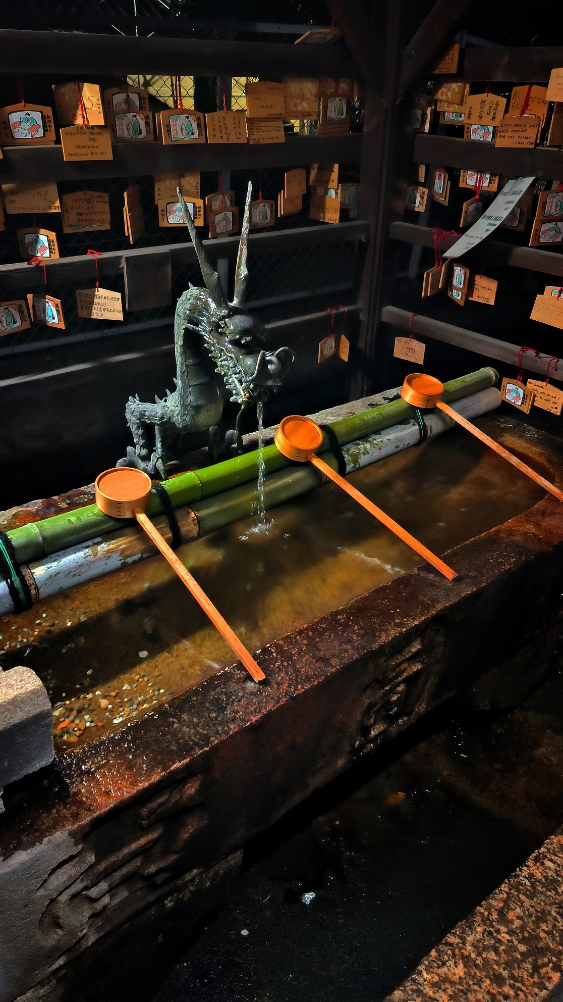 #Kyoto / Nara, media 6