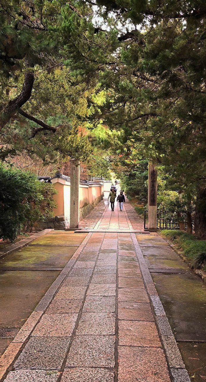 #Kyoto #Review, media 4