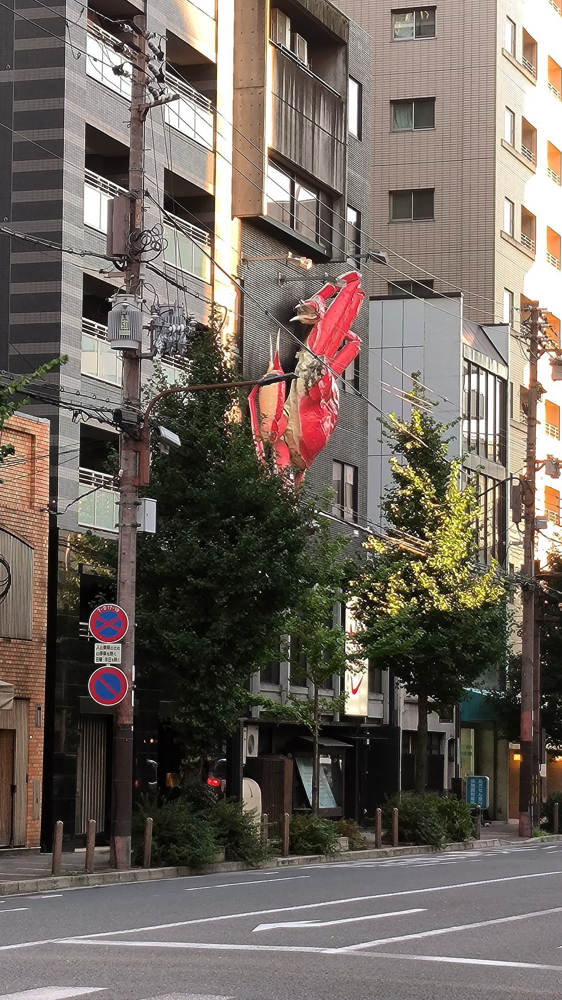 #Kyoto #Review, media 5