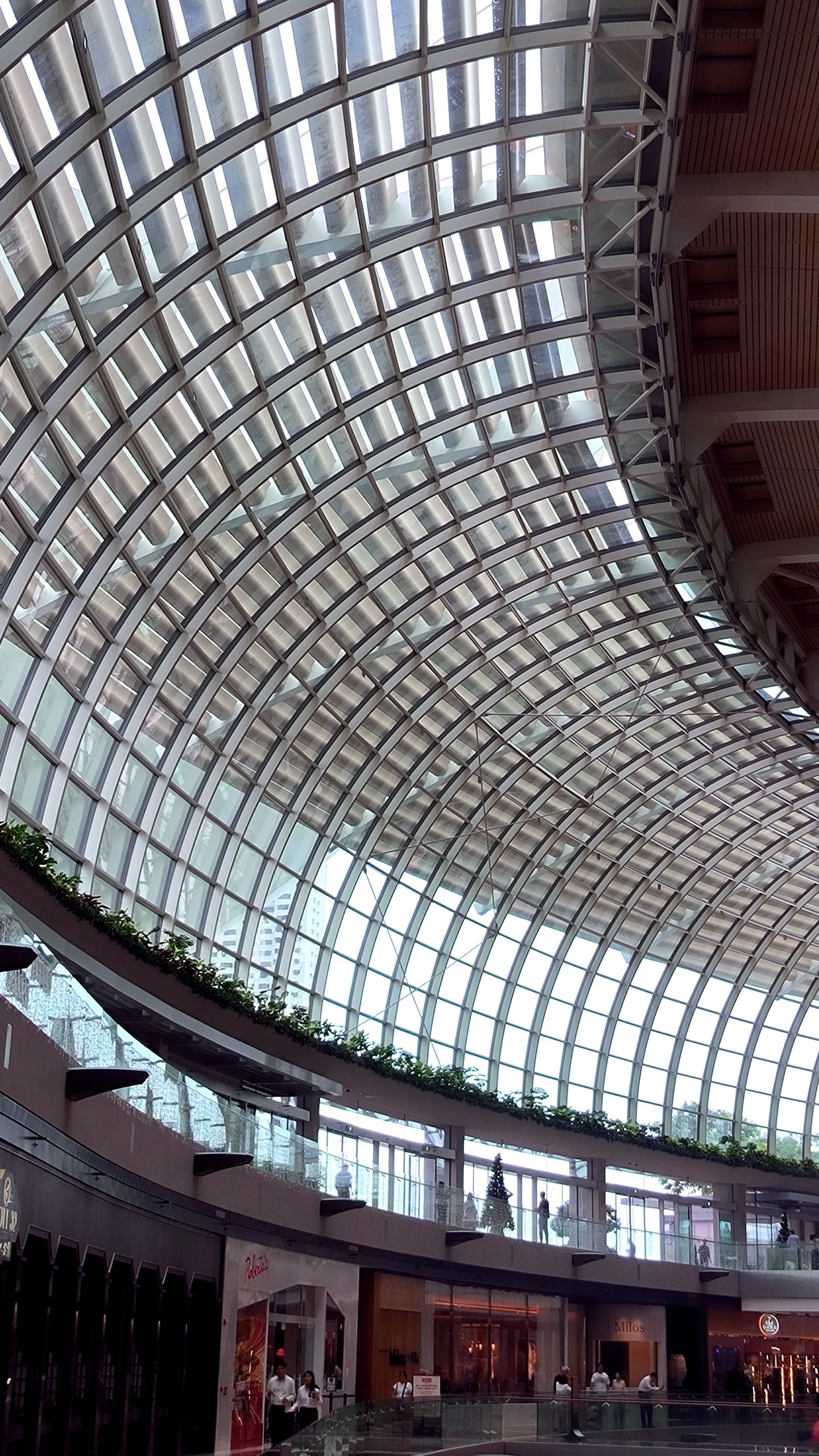 #Singapore, media 2