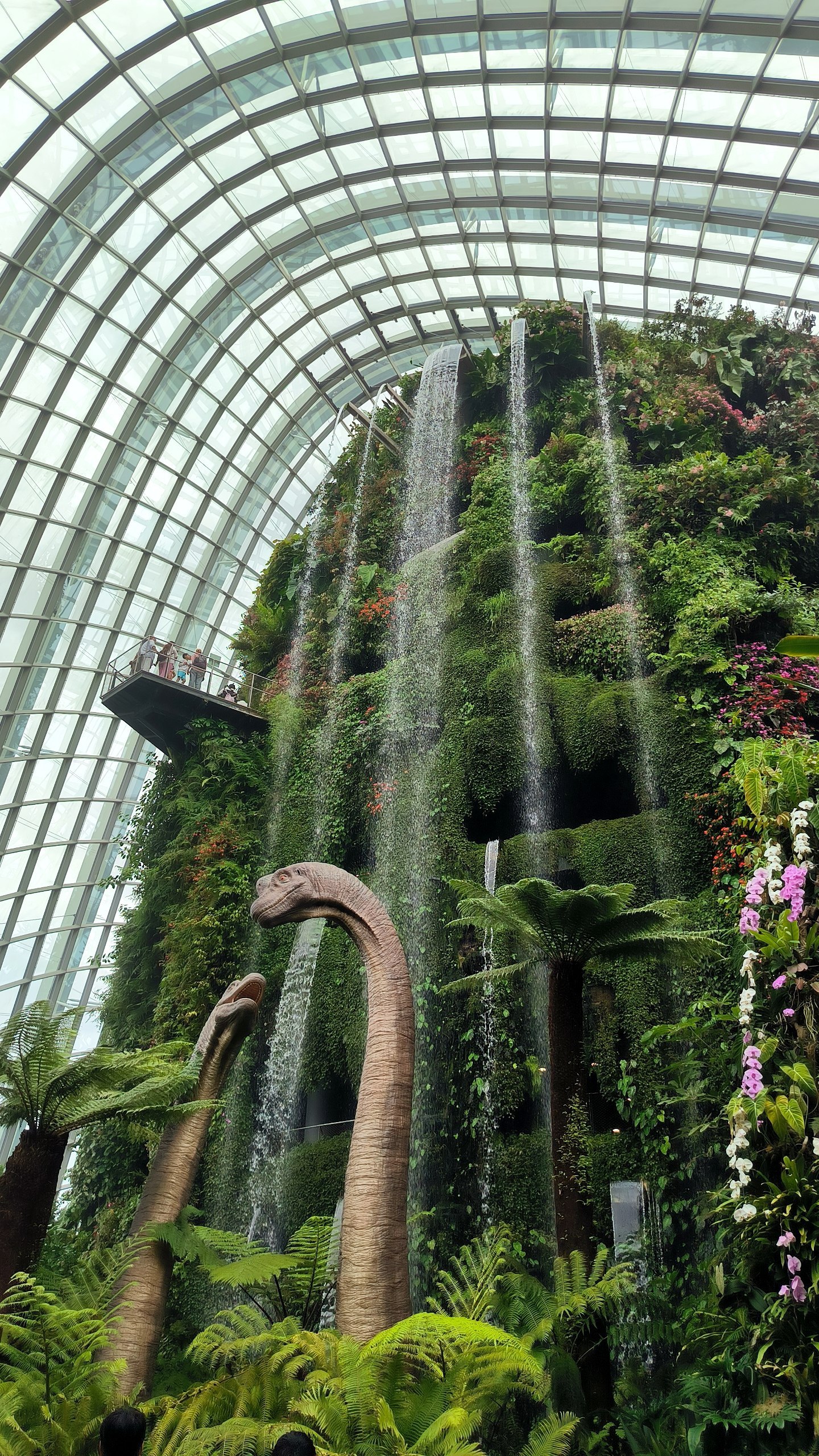 "Cloud Forest" - another hyped up place in #Singapore, which is nevertheless worth…, media 1