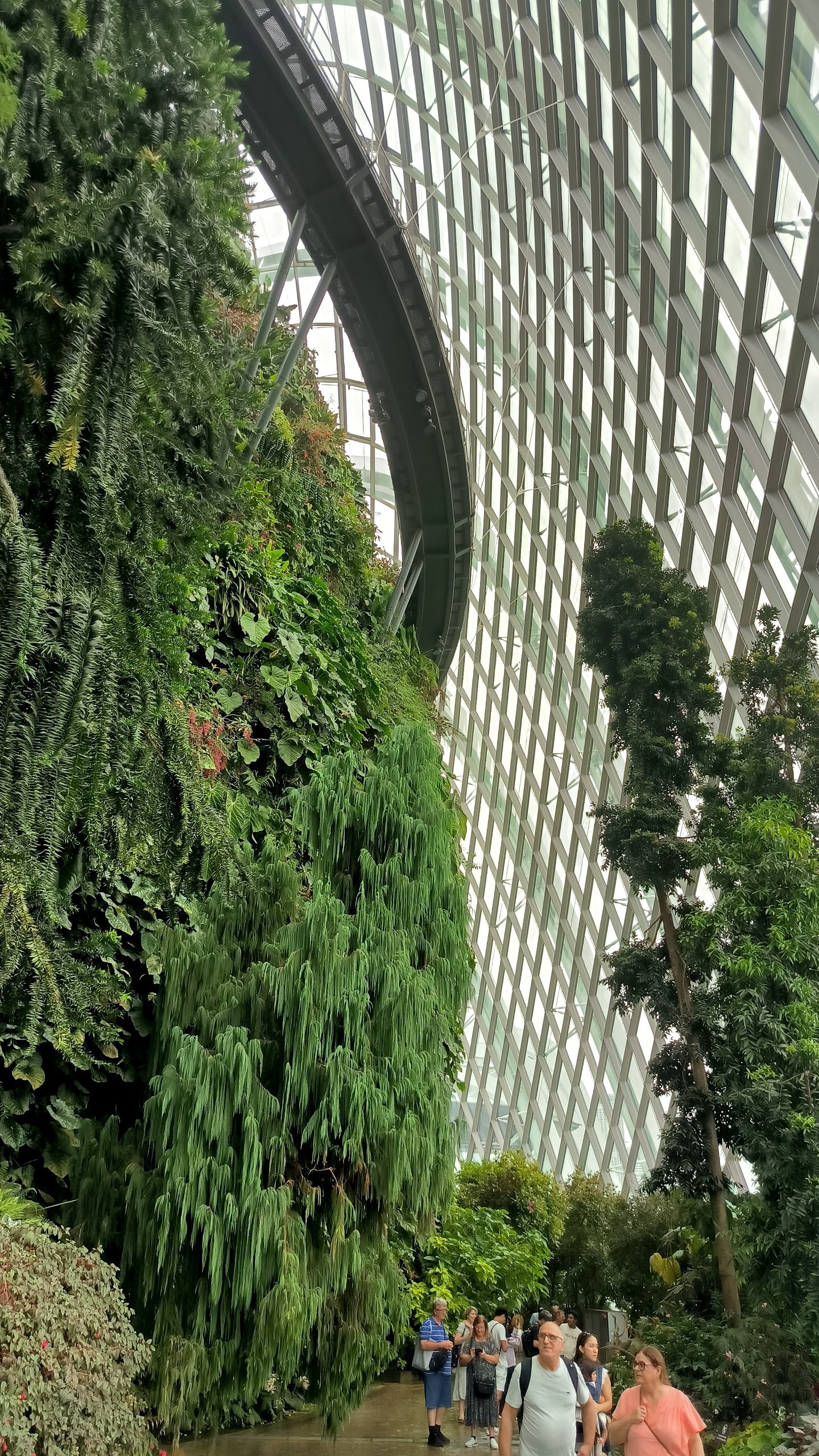 "Cloud Forest" - another hyped up place in #Singapore, which is nevertheless worth…, media 2