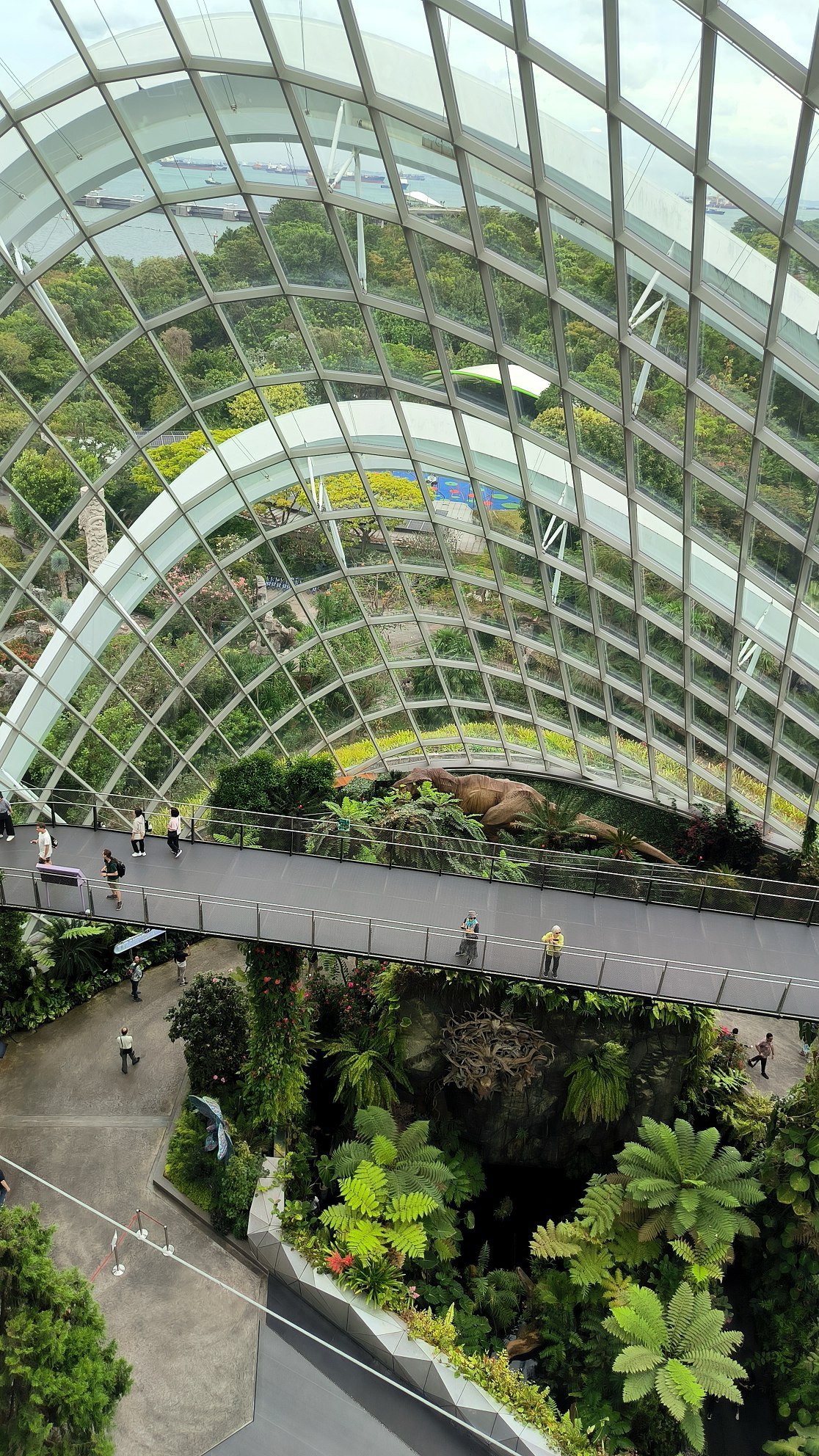 "Cloud Forest" - another hyped up place in #Singapore, which is nevertheless worth…, media 5