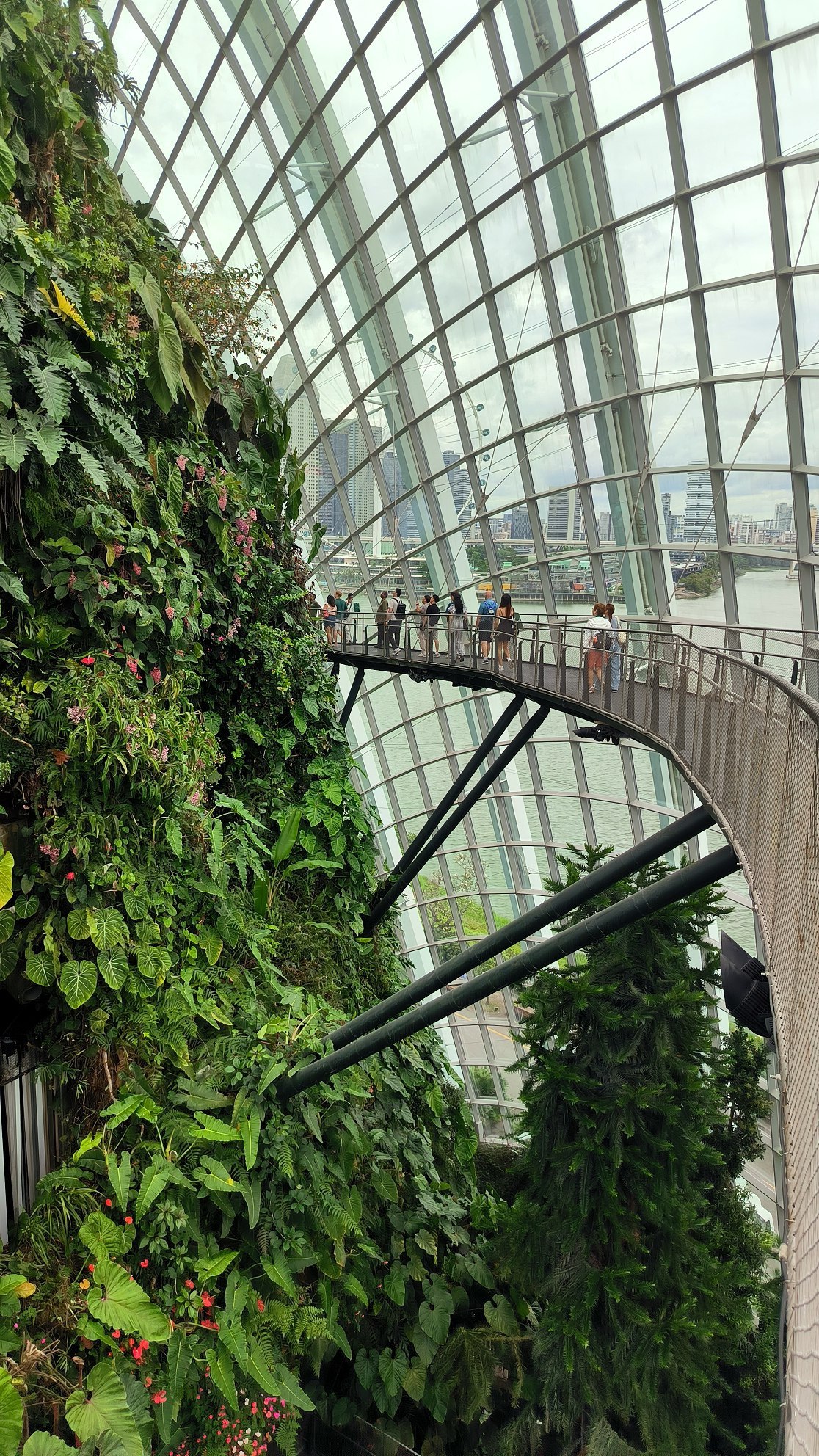 "Cloud Forest" - another hyped up place in #Singapore, which is nevertheless worth…, media 6