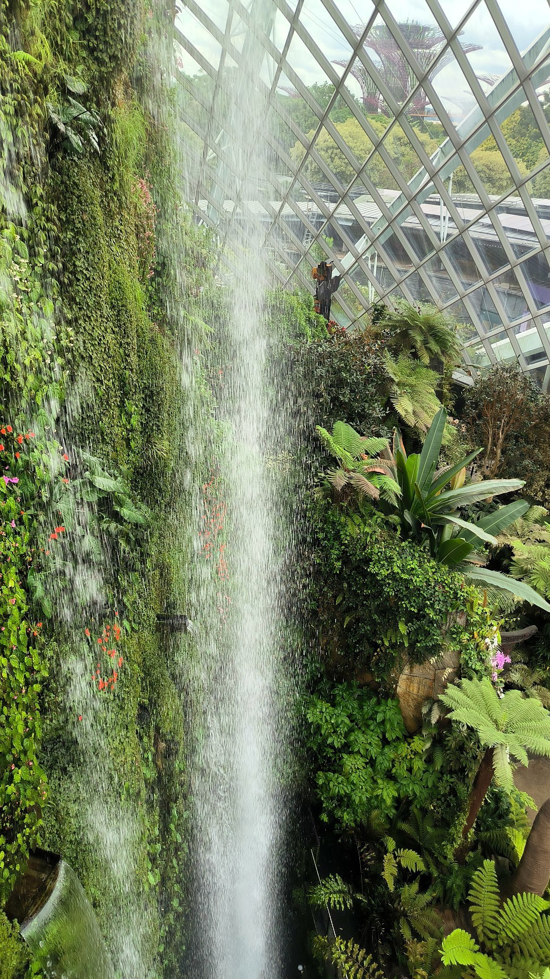 "Cloud Forest" - another hyped up place in #Singapore, which is nevertheless worth…, media 7
