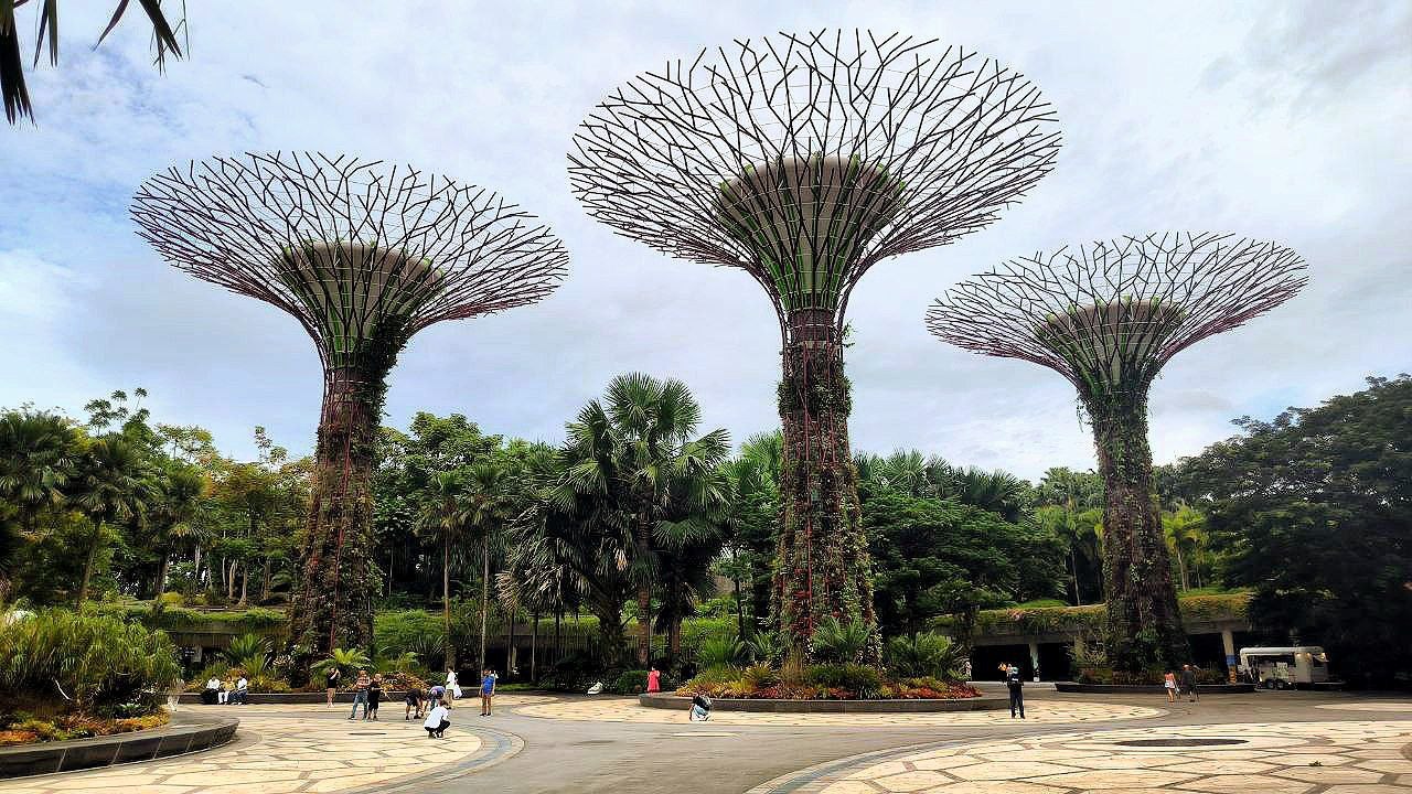 #Singapore, media 3