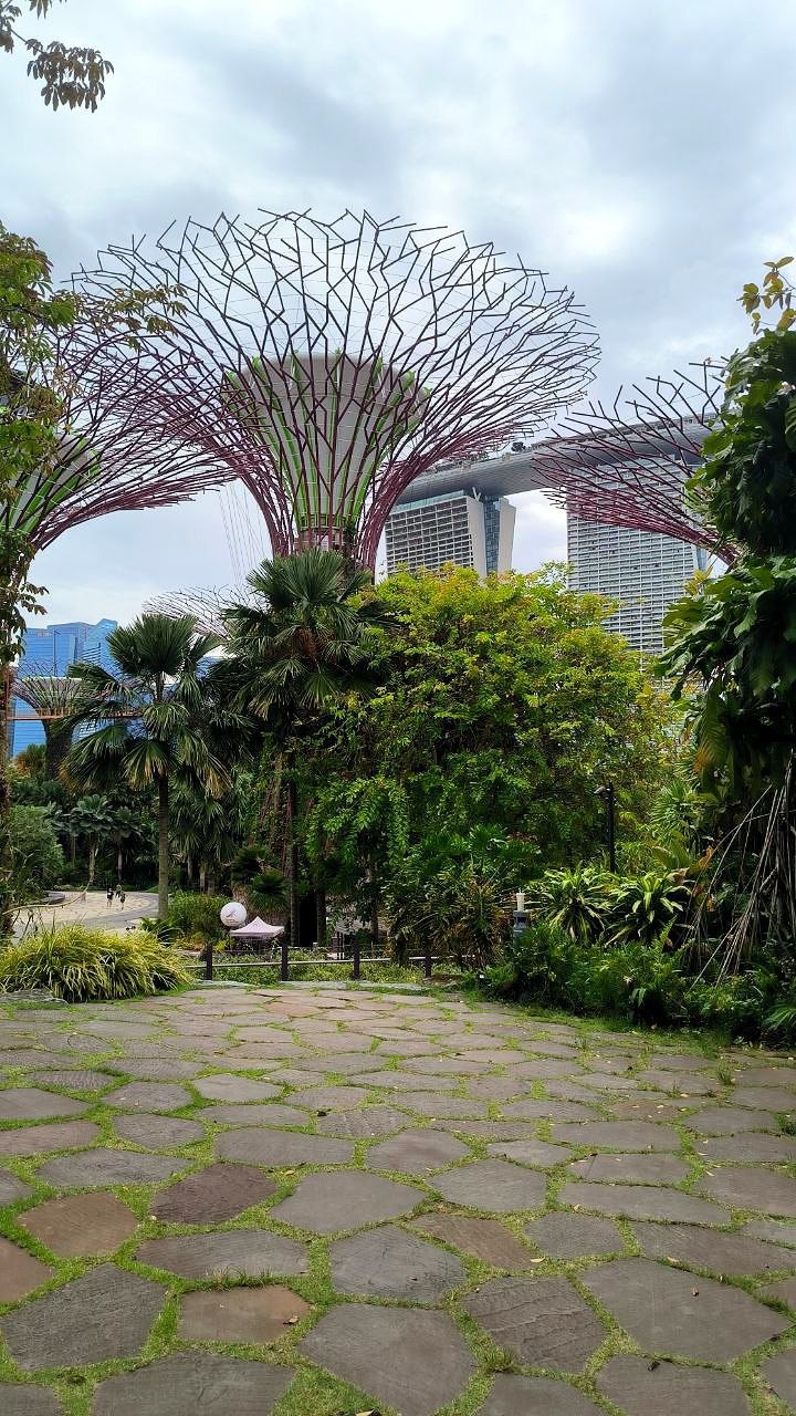 #Singapore, media 4