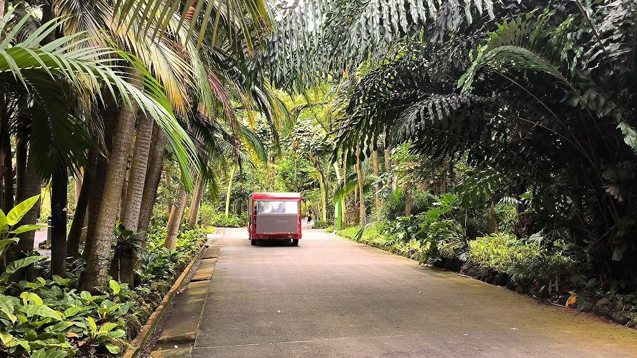 #Singapore, media 5