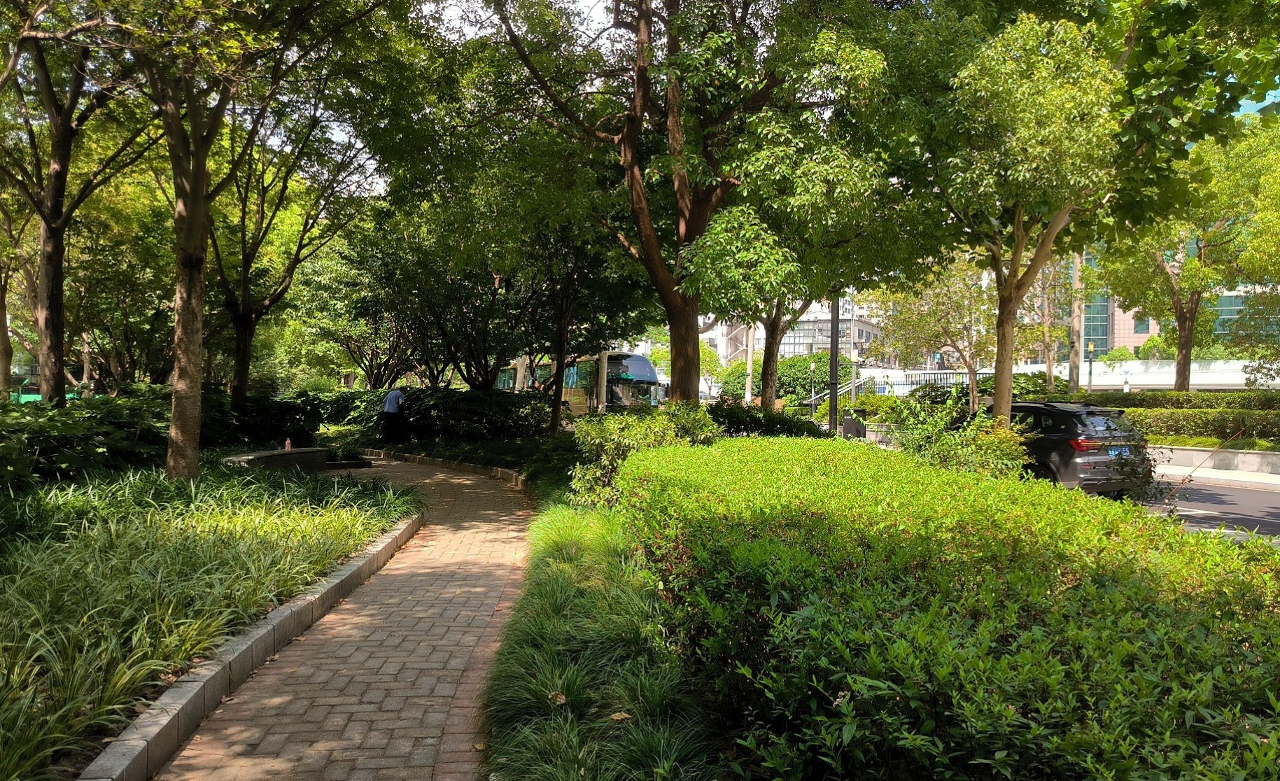 #Shanghai, media 2