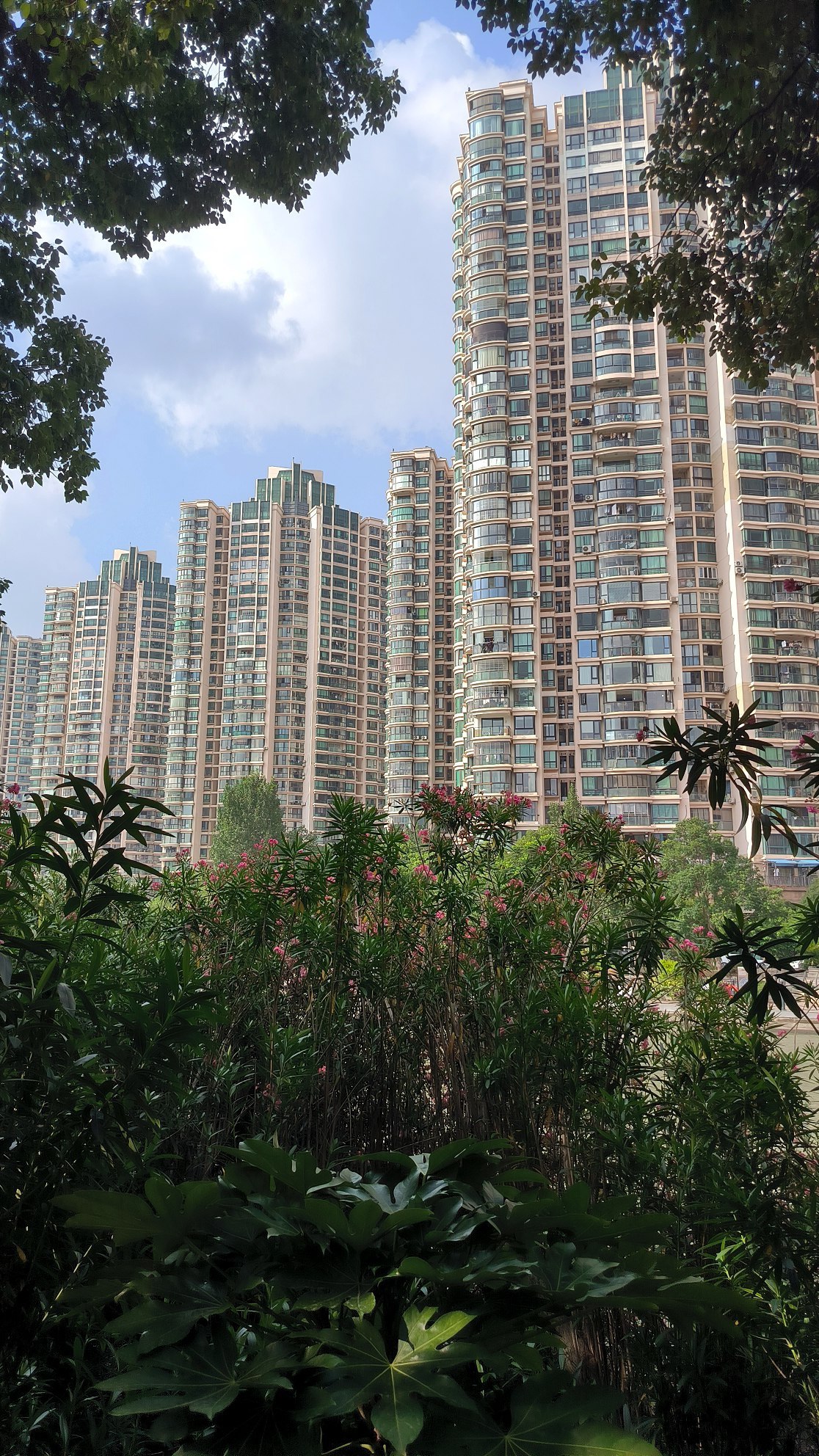 #Shanghai, media 3