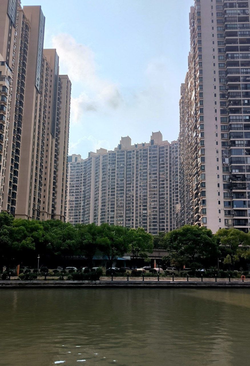 #Shanghai, media 4