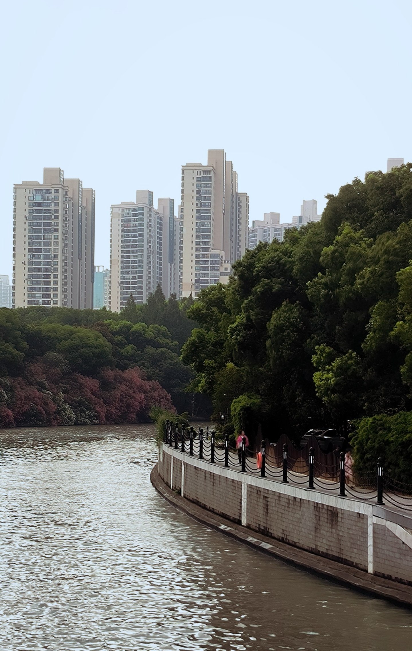 #Shanghai, media 6