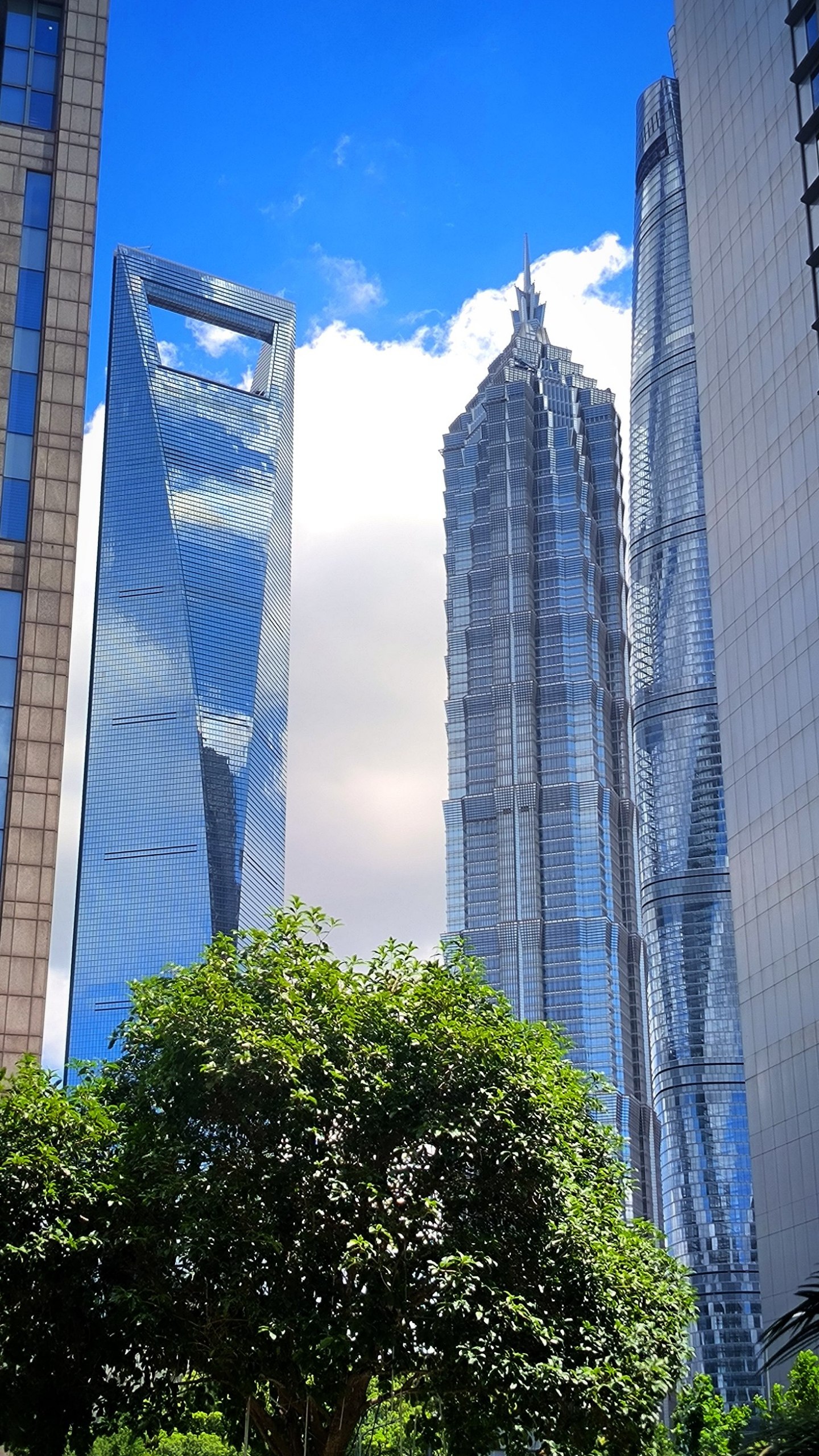 #Shanghai, media 1