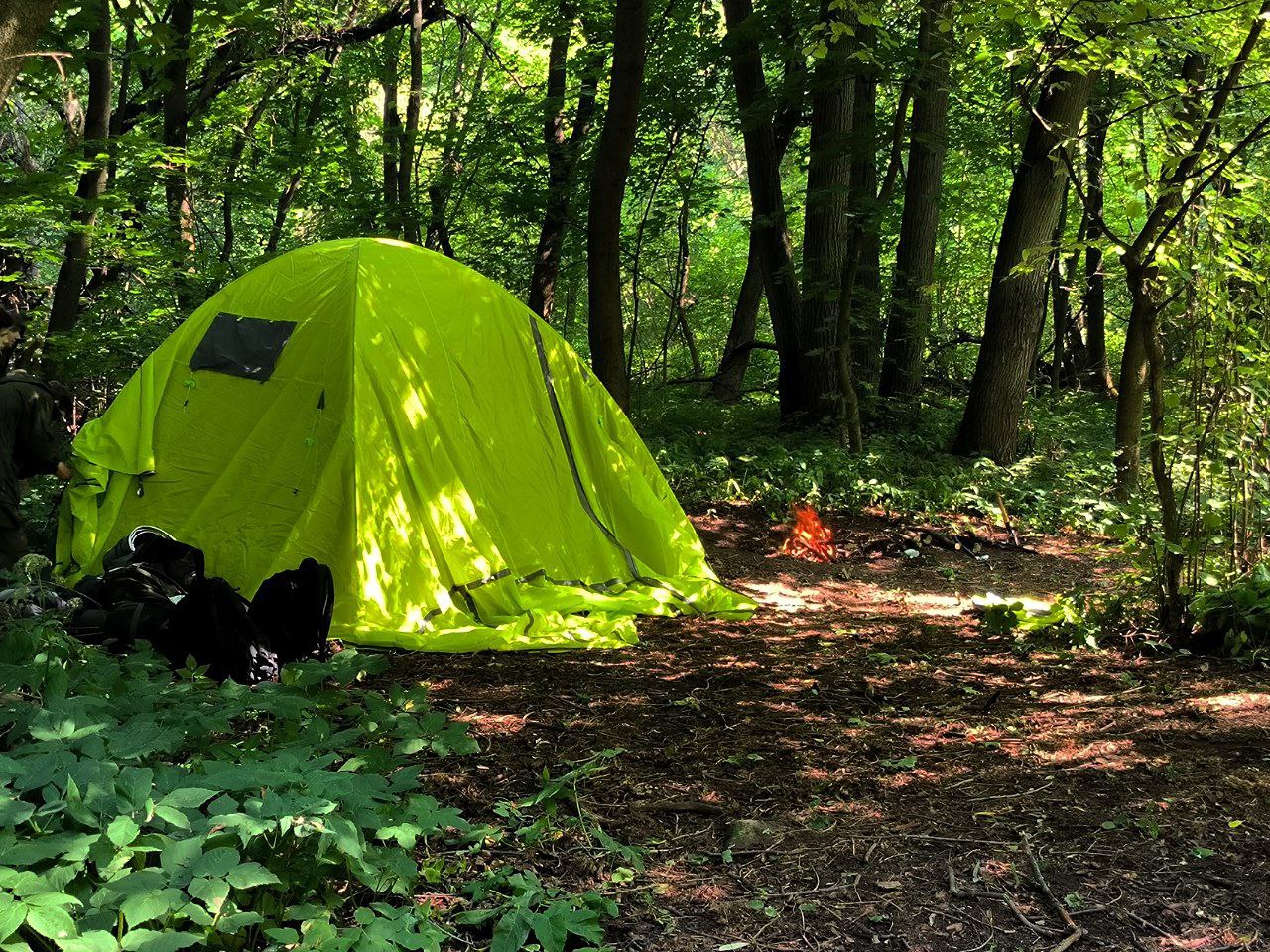On the weekend, I managed to go on a hike to the Oka River with my friends for a couple…, media 1