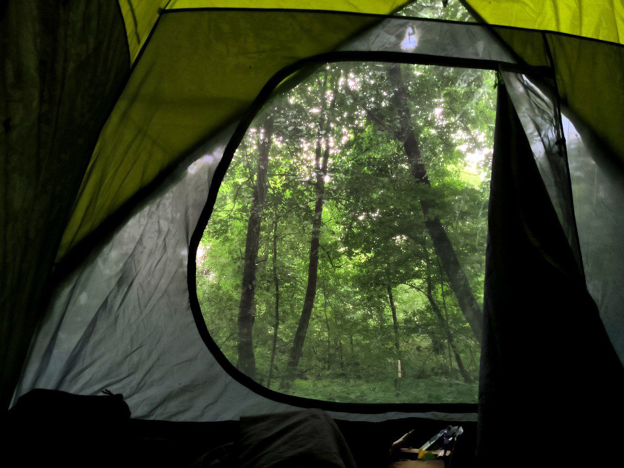 On the weekend, I managed to go on a hike to the Oka River with my friends for a couple…, media 3