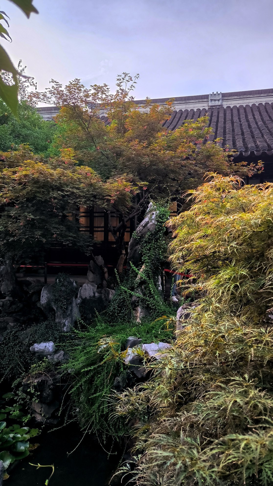 #Shanghai #Suzhou, media 5