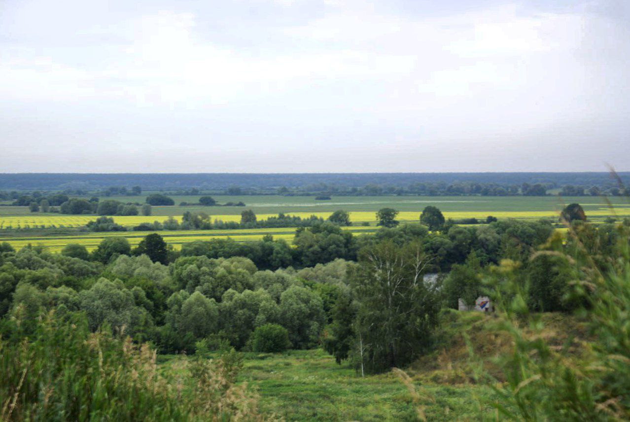 On the weekend, I managed to go on a hike to the Oka River with my friends for a couple…, media 8