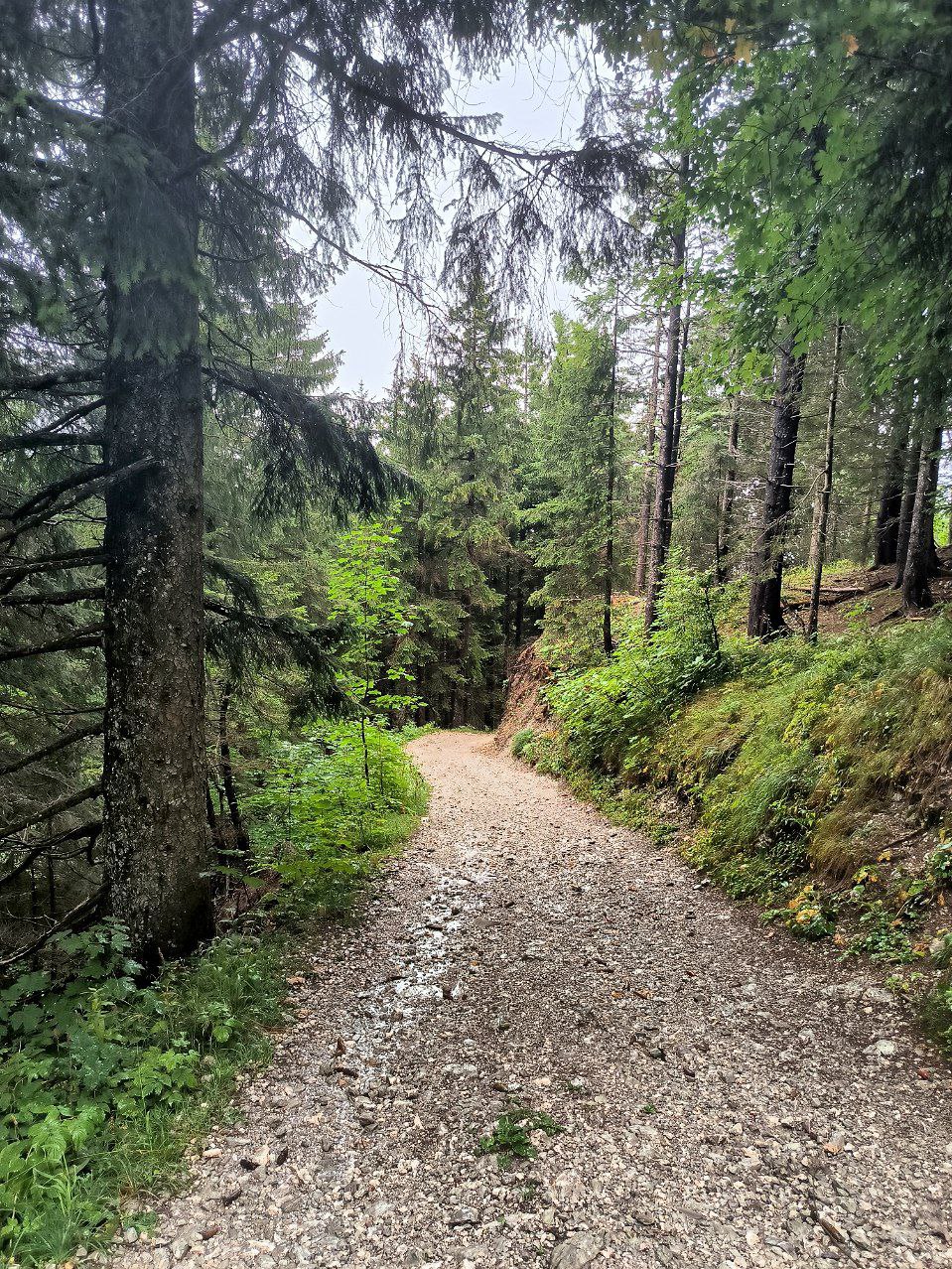 #Zurich (more precisely, Schwyz), media 4