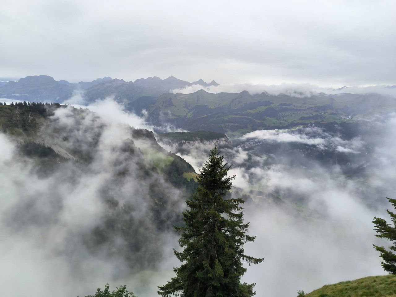 #Zurich (or more precisely, Schwyz), media 6