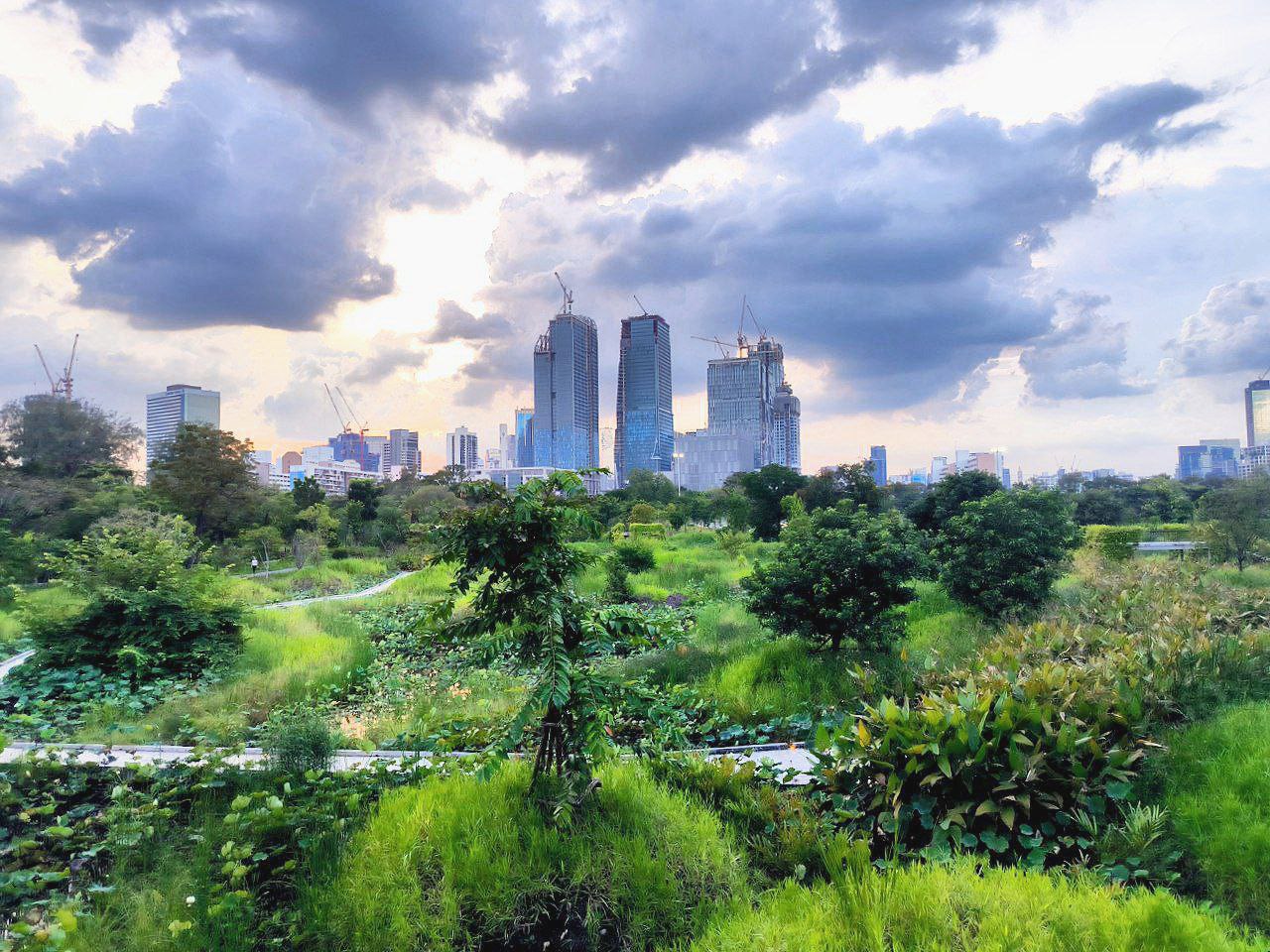 #Bangkok, media 1