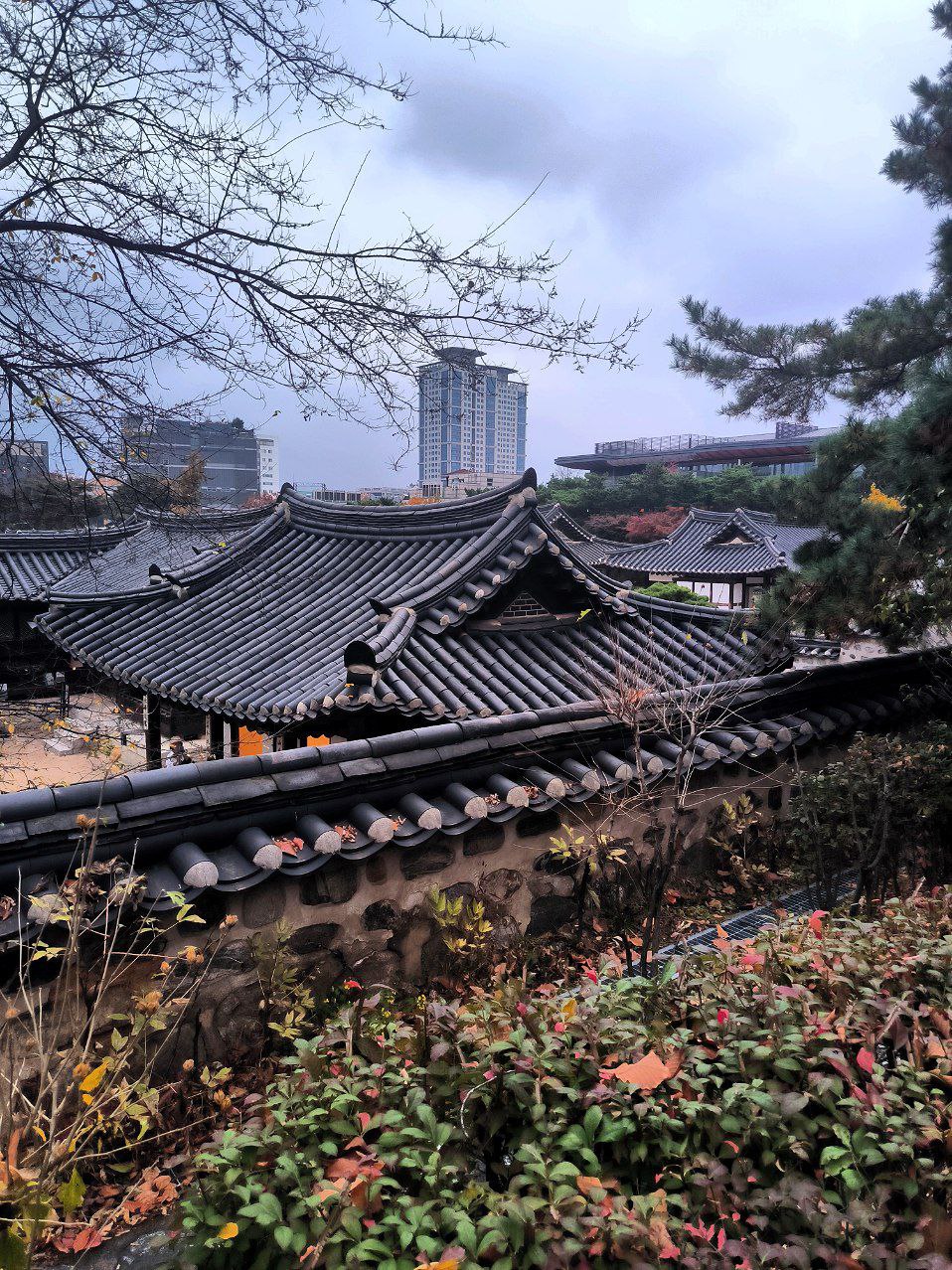 #Seoul, media 3
