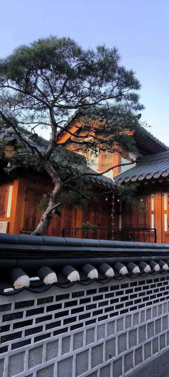 #Seoul, media 8