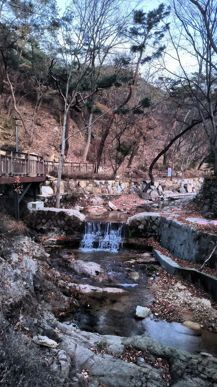 #Seoul, media 4