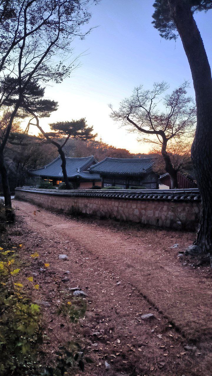 #Seoul, media 5